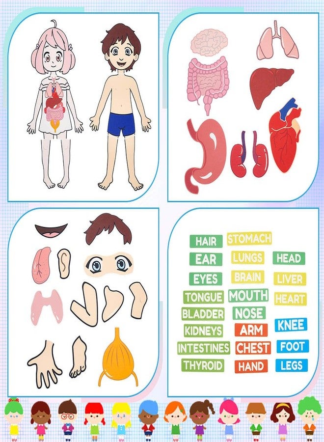BEUNITONE Body Parts Learning Felt Story Board for Family 48 Pcs Large Preschool Human Organ Name Words Useful Felt Story Board Set Wall Activity for Birthday Christmas New Year Gifts - Image 5